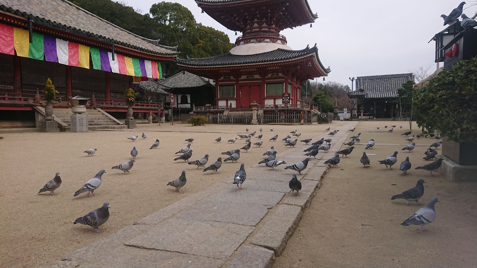 Jodo-ji Temple — photo 3