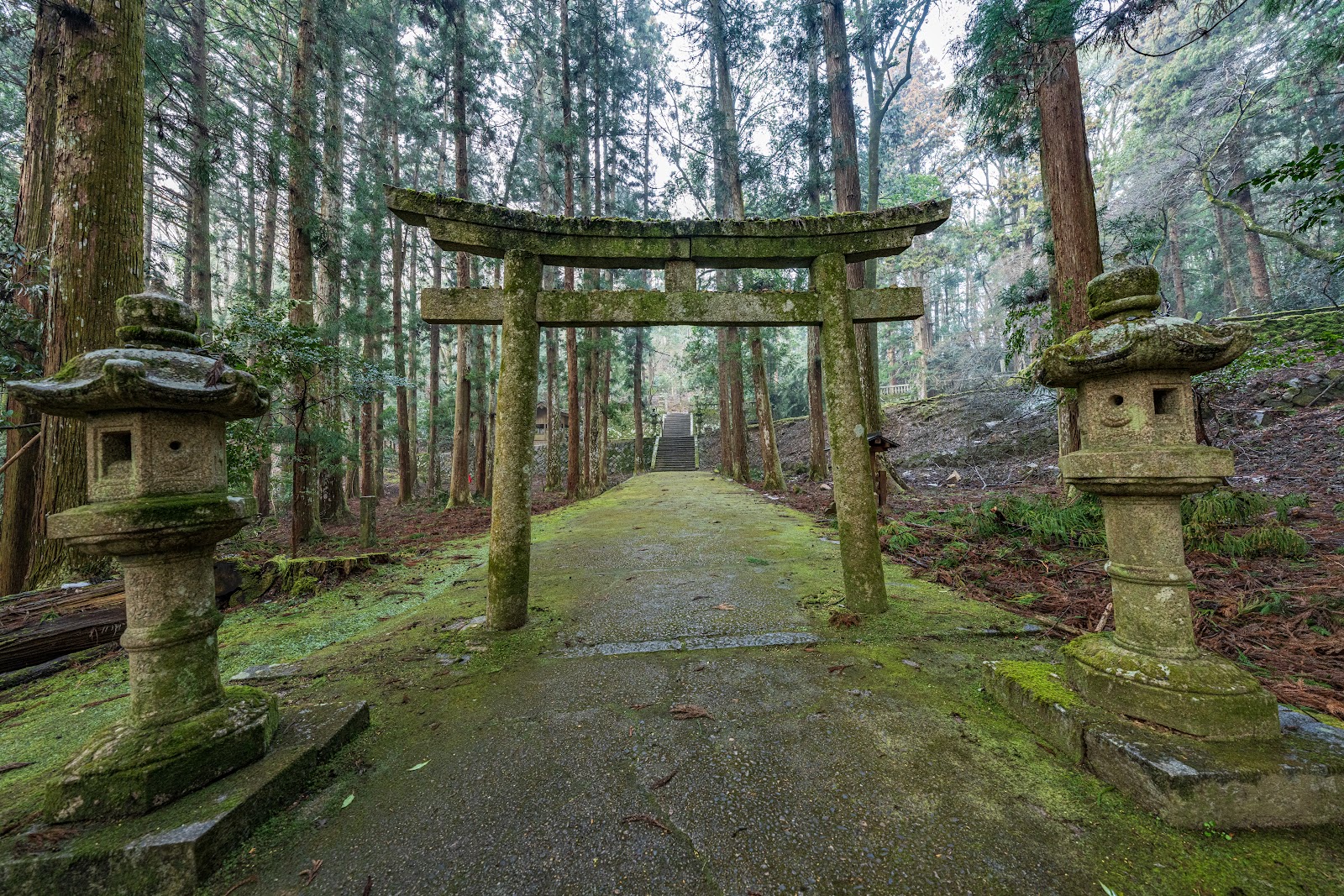 Yoshida-Koriyama Castle Ruins — photo 2