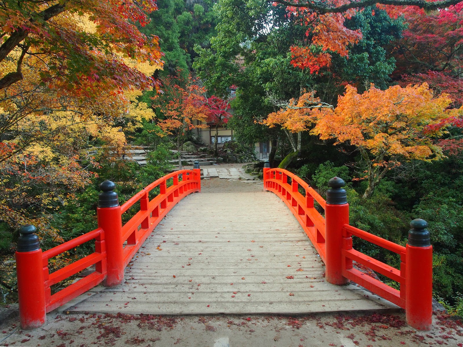 Momijidani Park