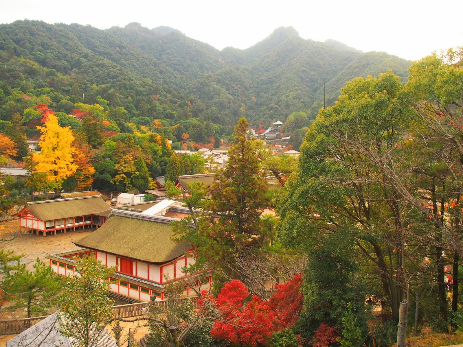 Momijidani Park — photo 3