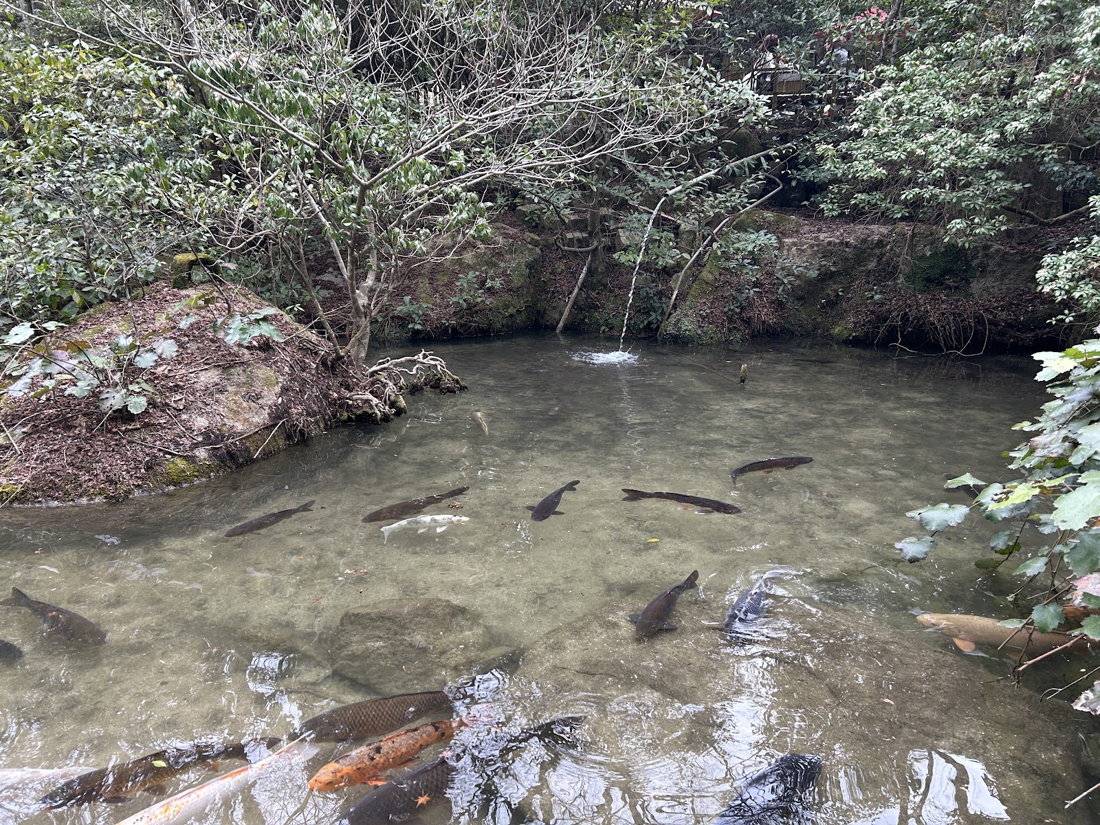 Momijidani Park — photo 5