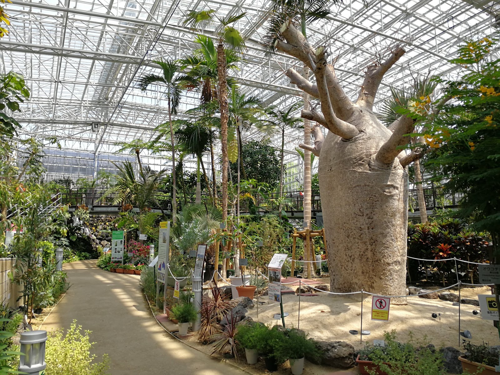 Hiroshima Botanical Garden — photo 4