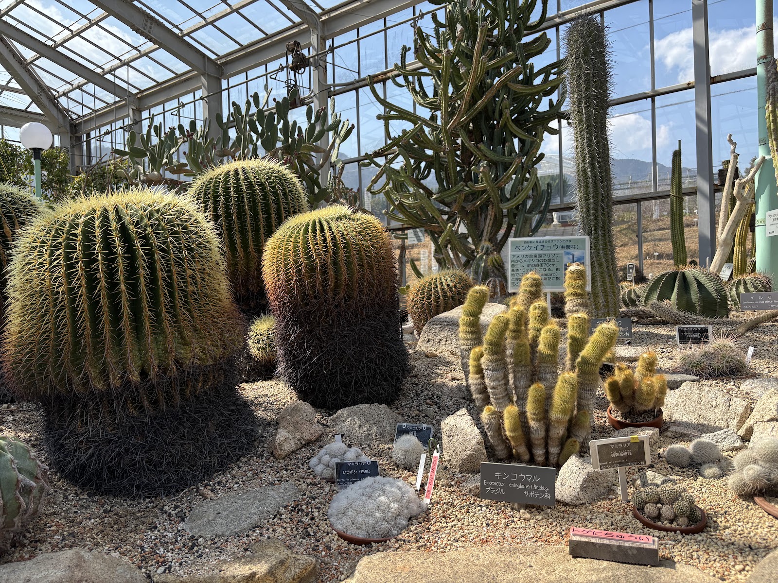Hiroshima Botanical Garden — photo 5