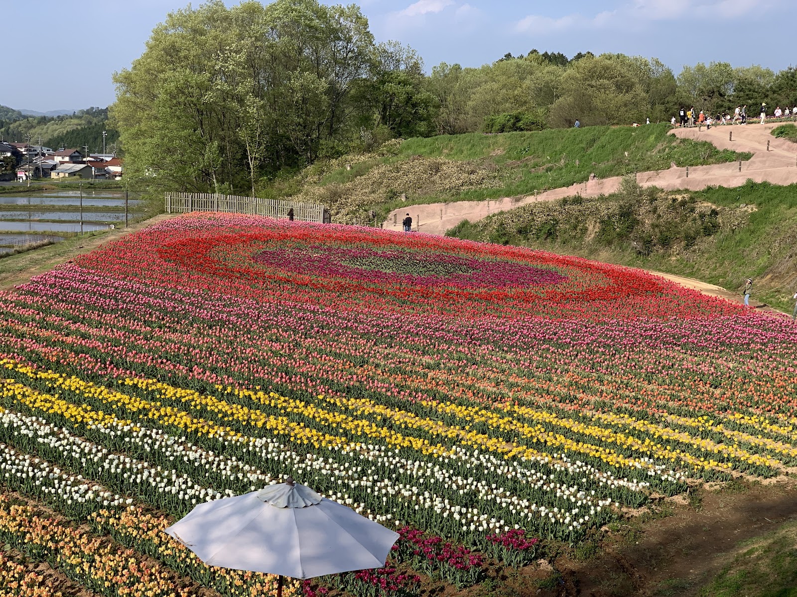 Sera Kogen Farm — photo 3
