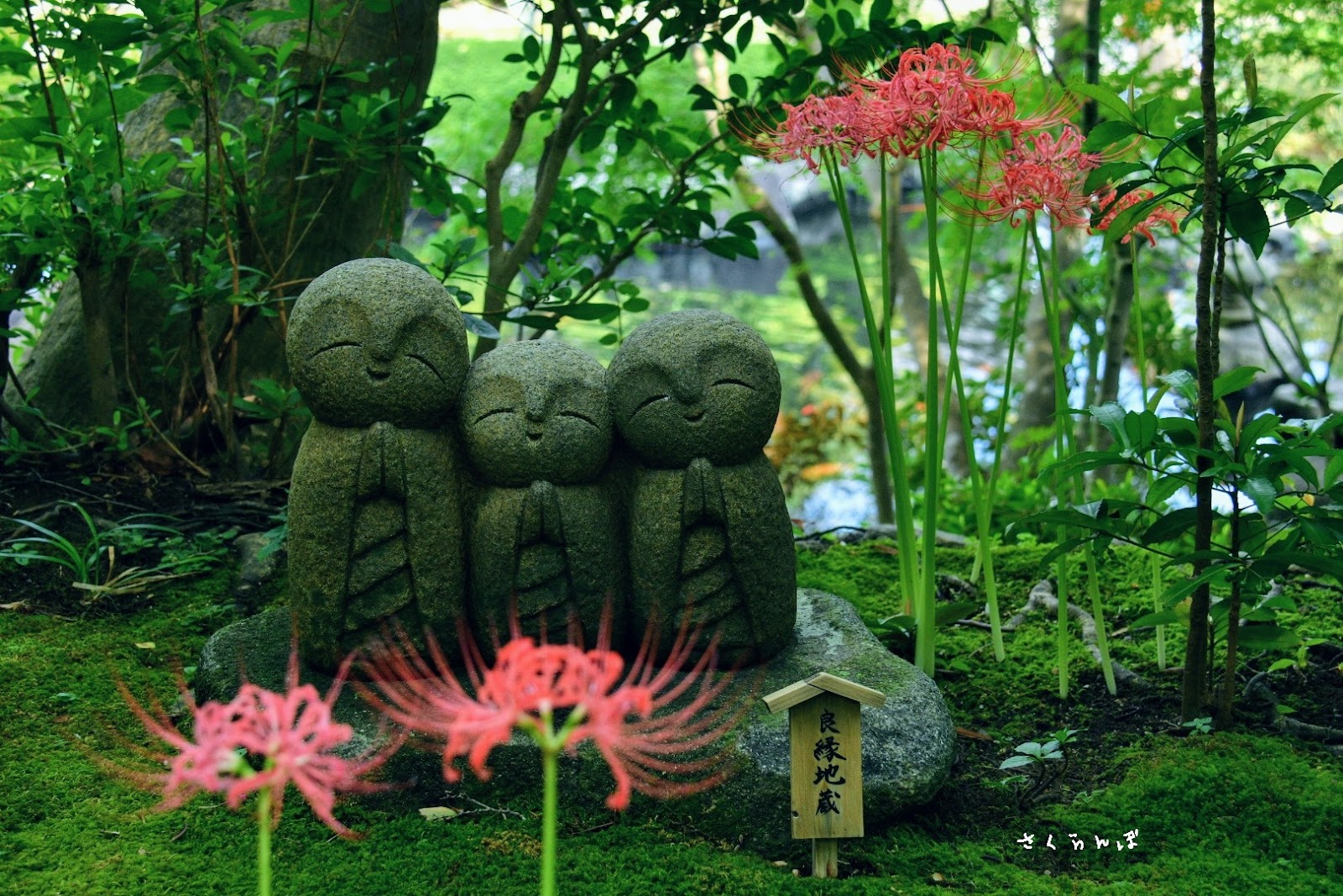 Hase-dera — photo 5