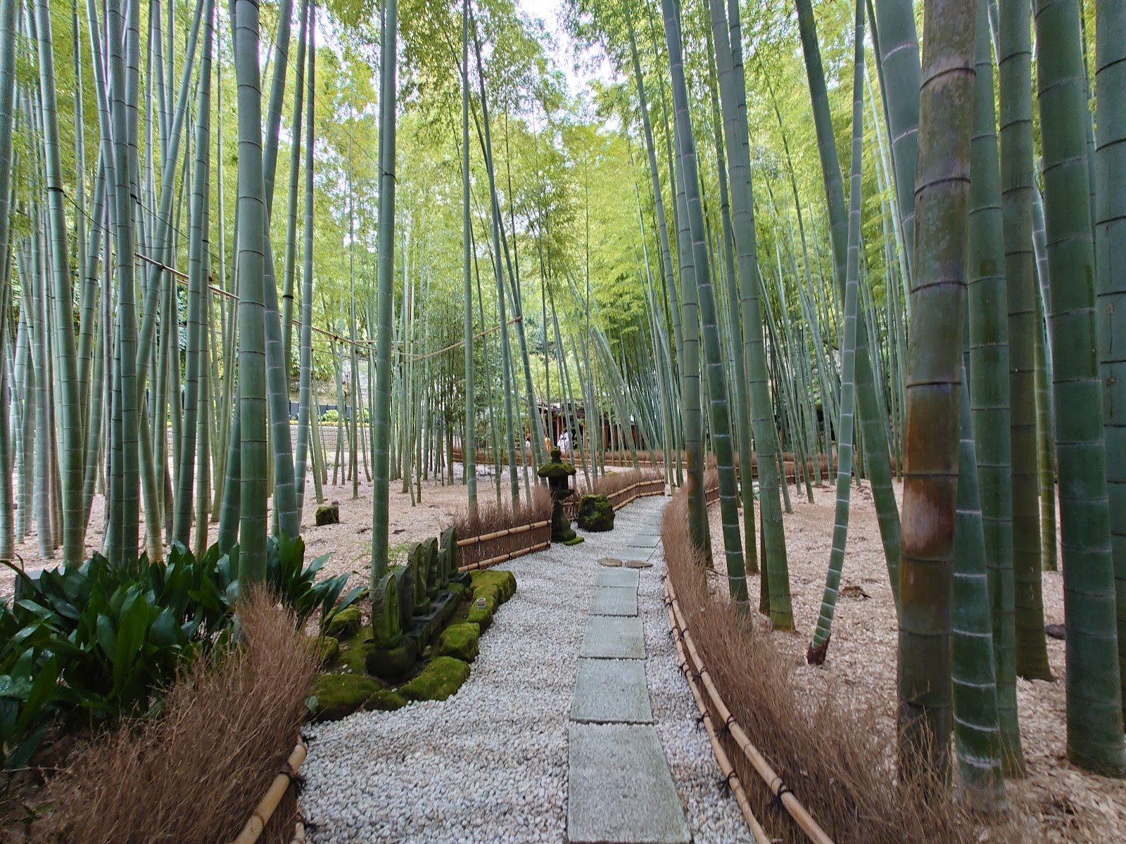 Hokoku-ji (Bamboo Temple) — photo 2