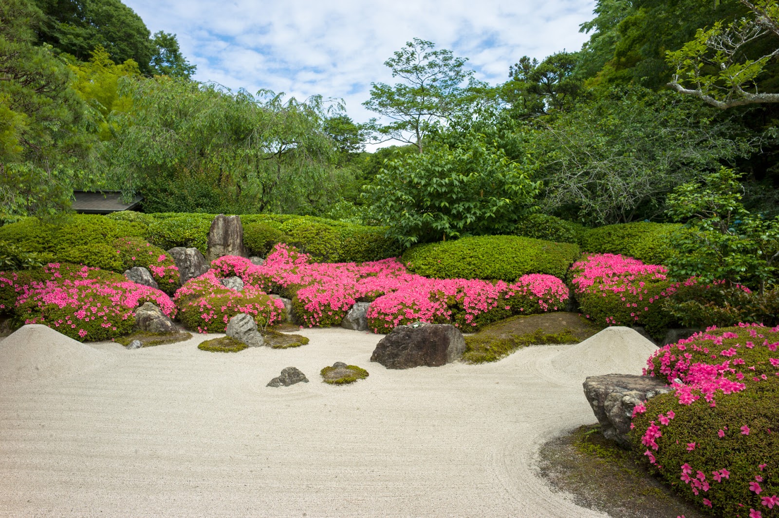 Meigetsu-in (Hydrangea Temple) — photo 4