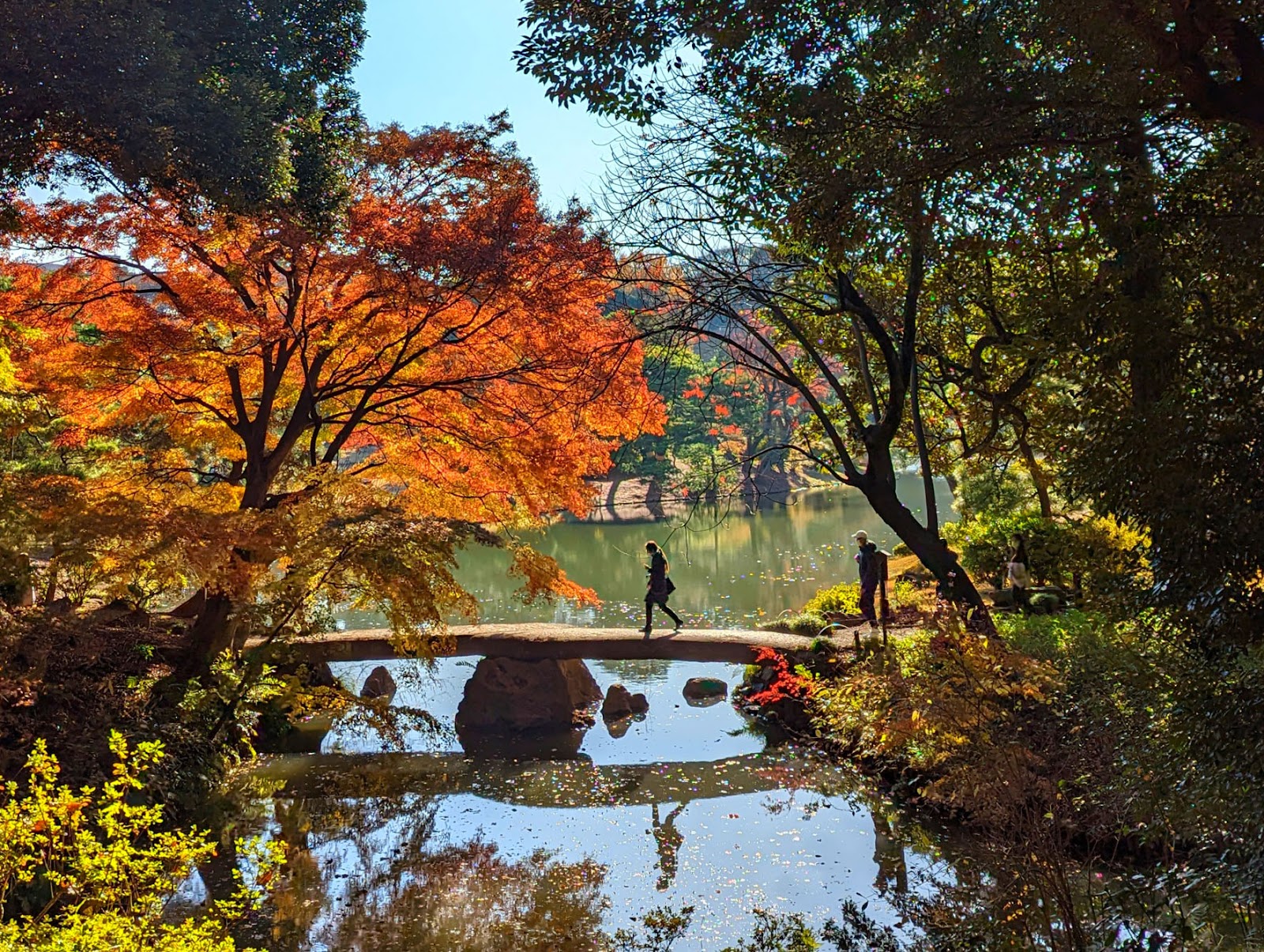Rikugi-en Garden — photo 2