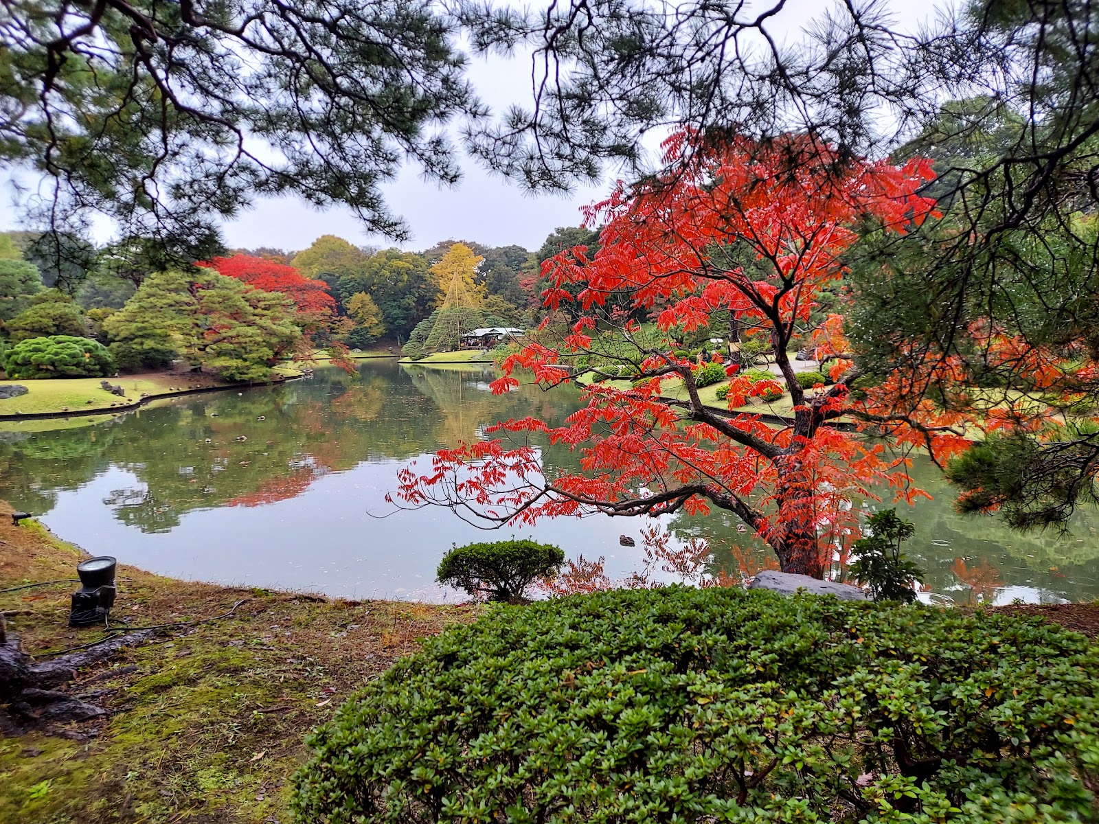 Rikugi-en Garden — photo 3
