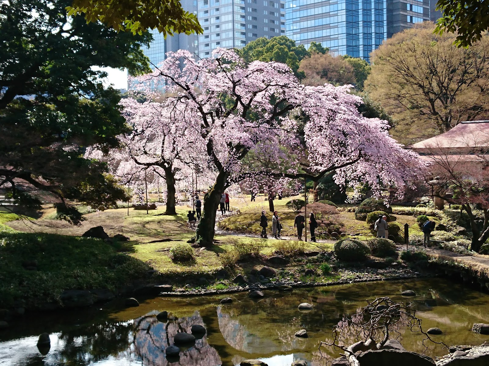Koishikawa Korakuen Garden — photo 1