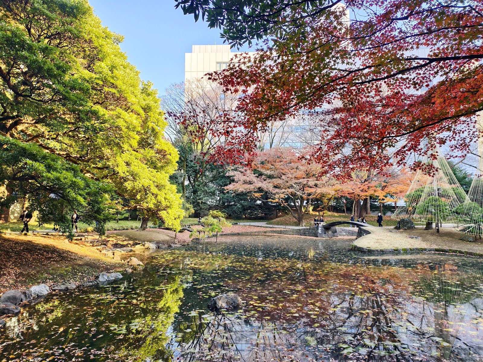 Koishikawa Korakuen Garden — photo 2
