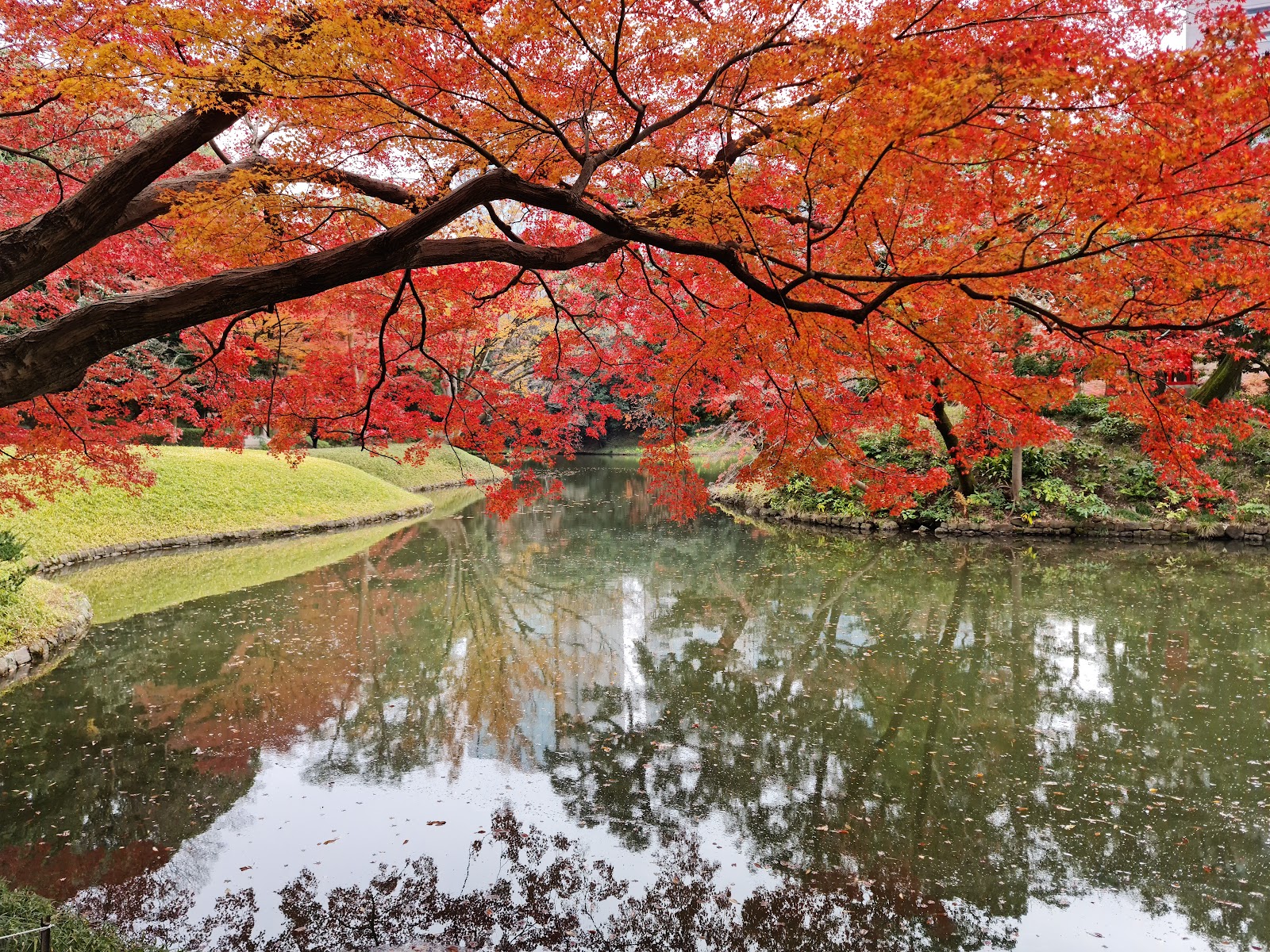 Koishikawa Korakuen Garden — photo 3