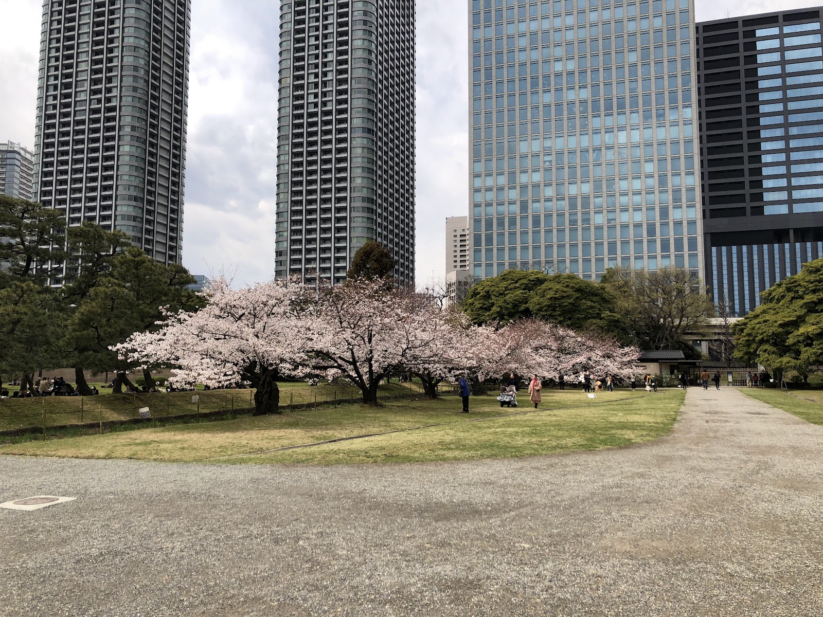 Hama-rikyu Gardens — photo 3