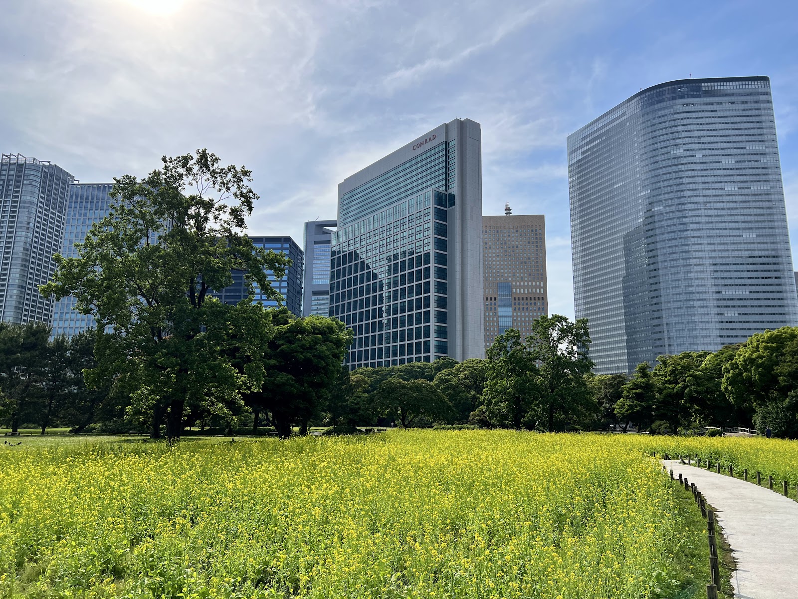 Hama-rikyu Gardens — photo 4