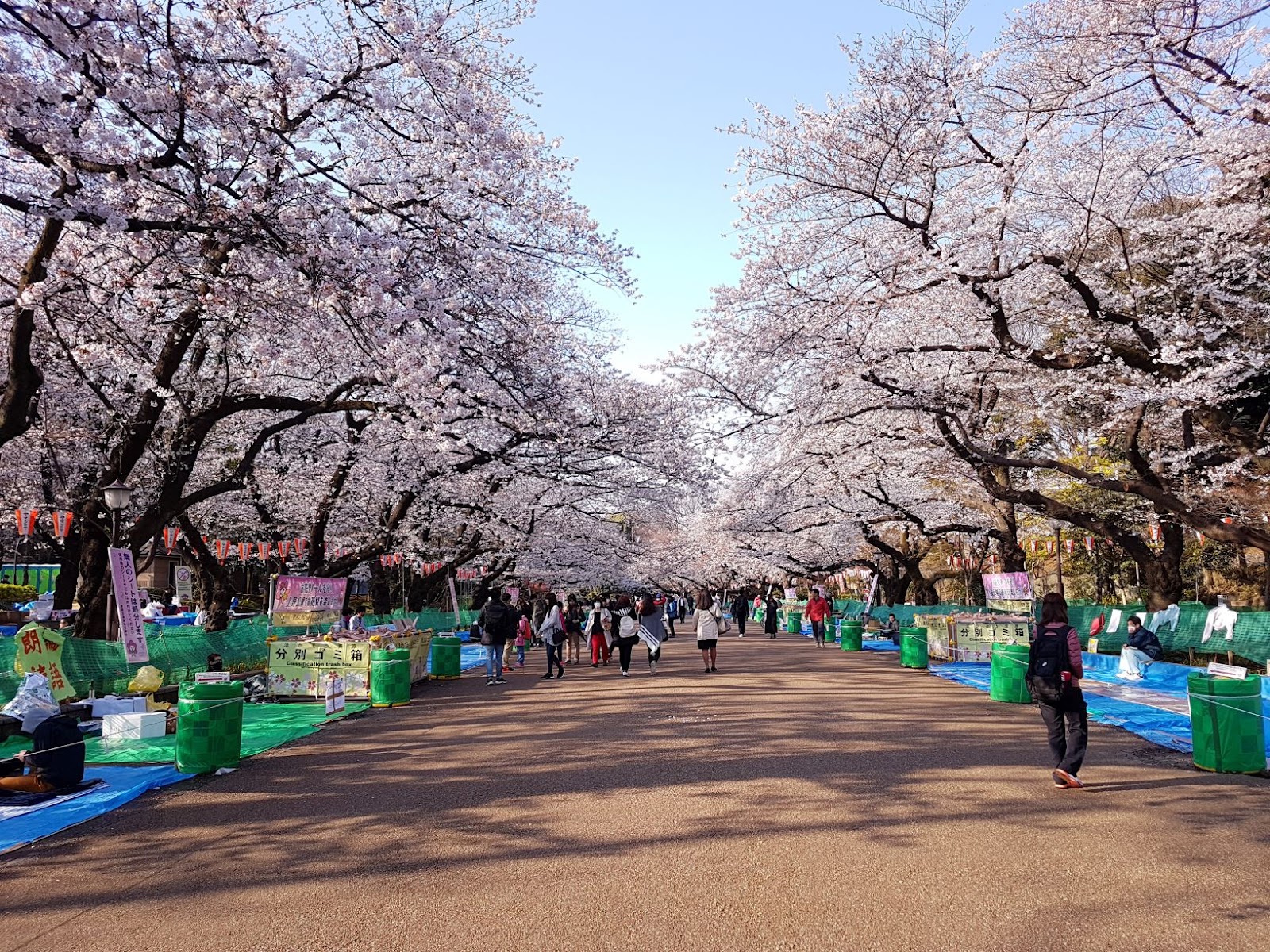 Ueno Park — photo 1