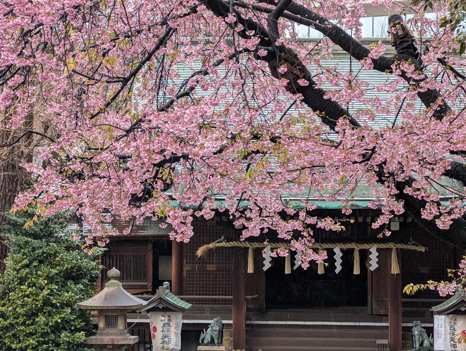 Ueno Park — photo 2