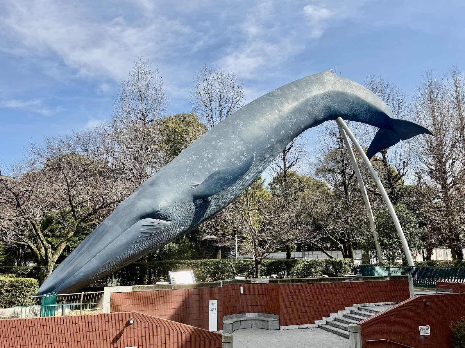 Ueno Park — photo 4