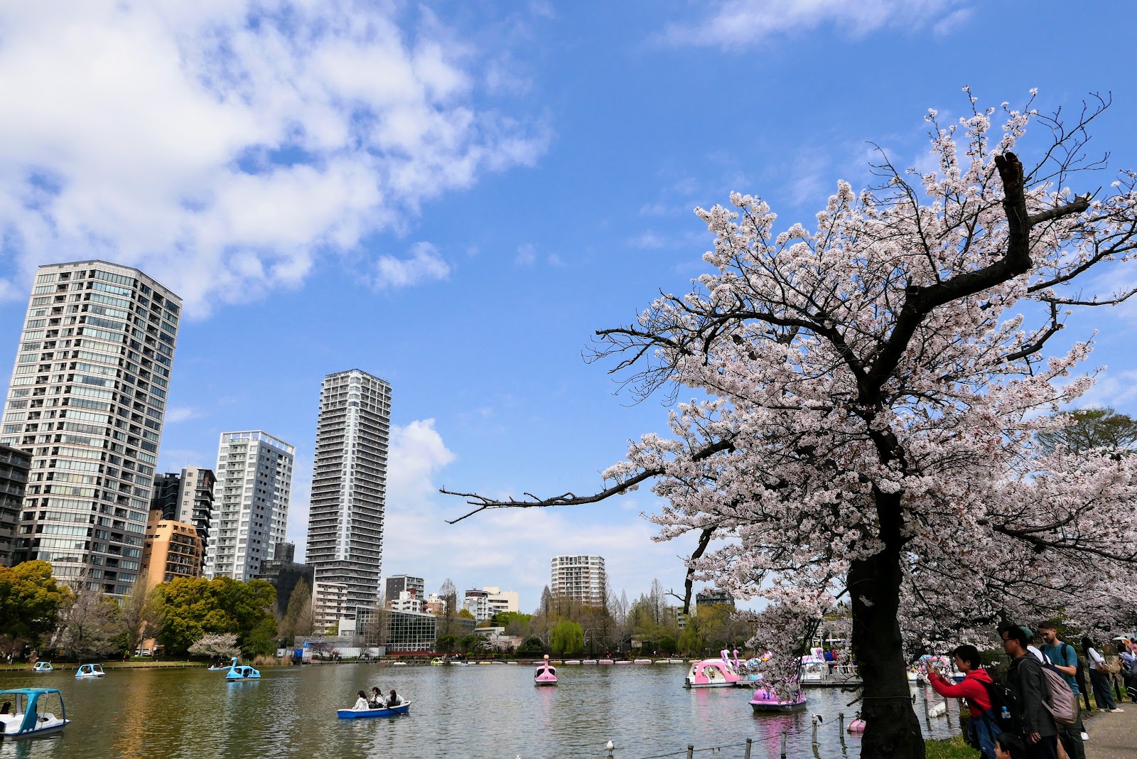Ueno Park — photo 5