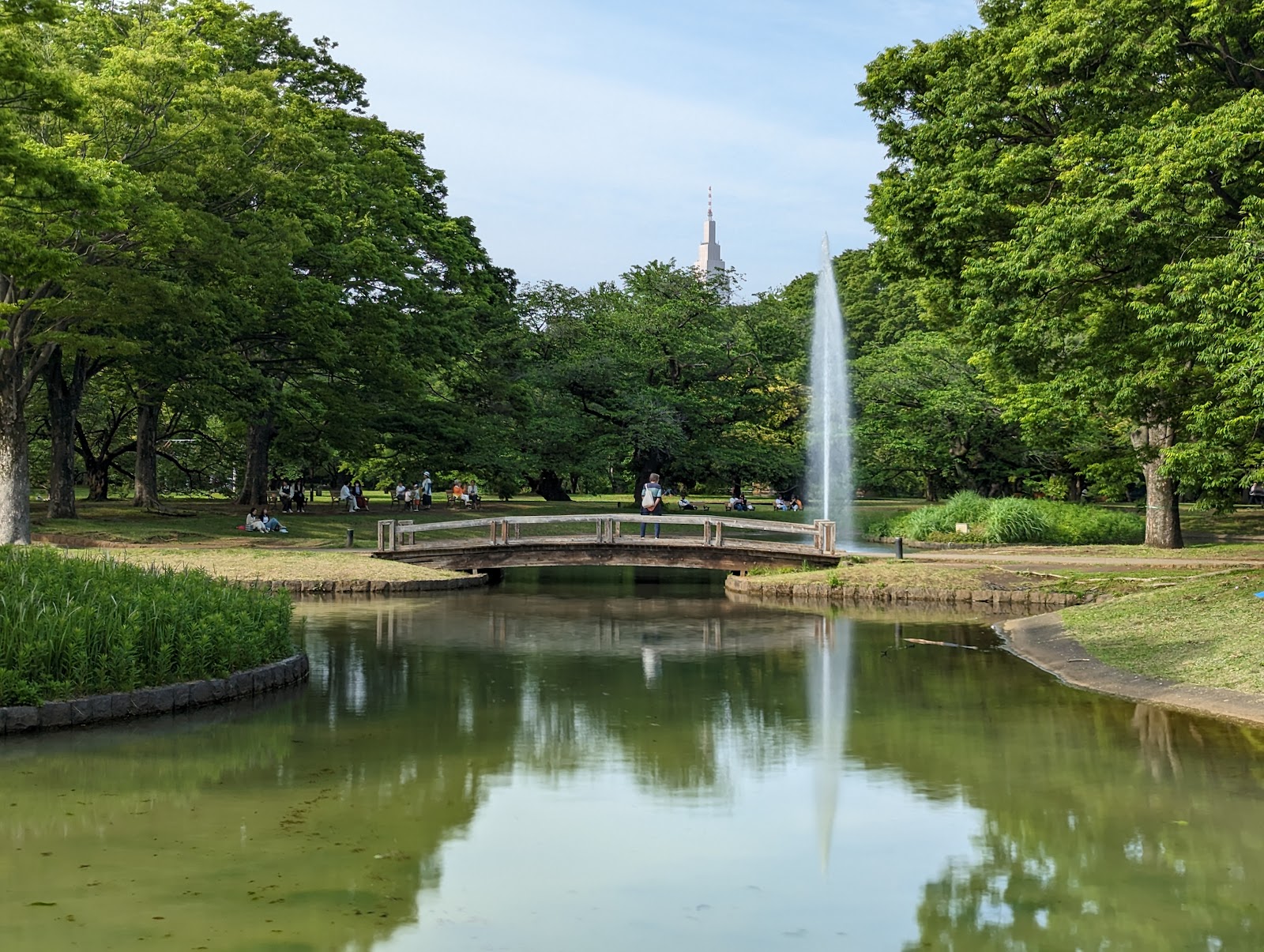 Yoyogi Park — photo 2