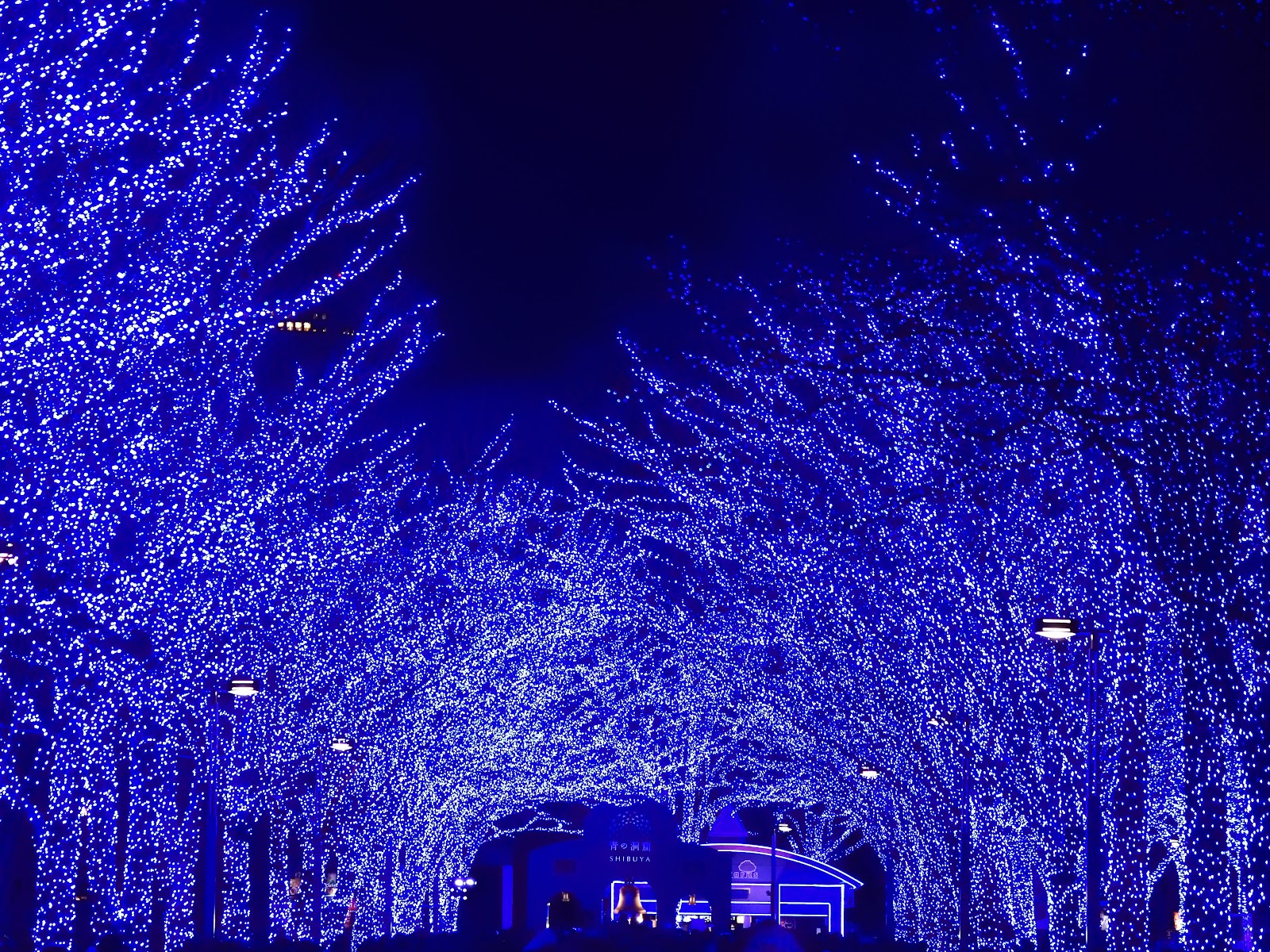 Yoyogi Park — photo 4