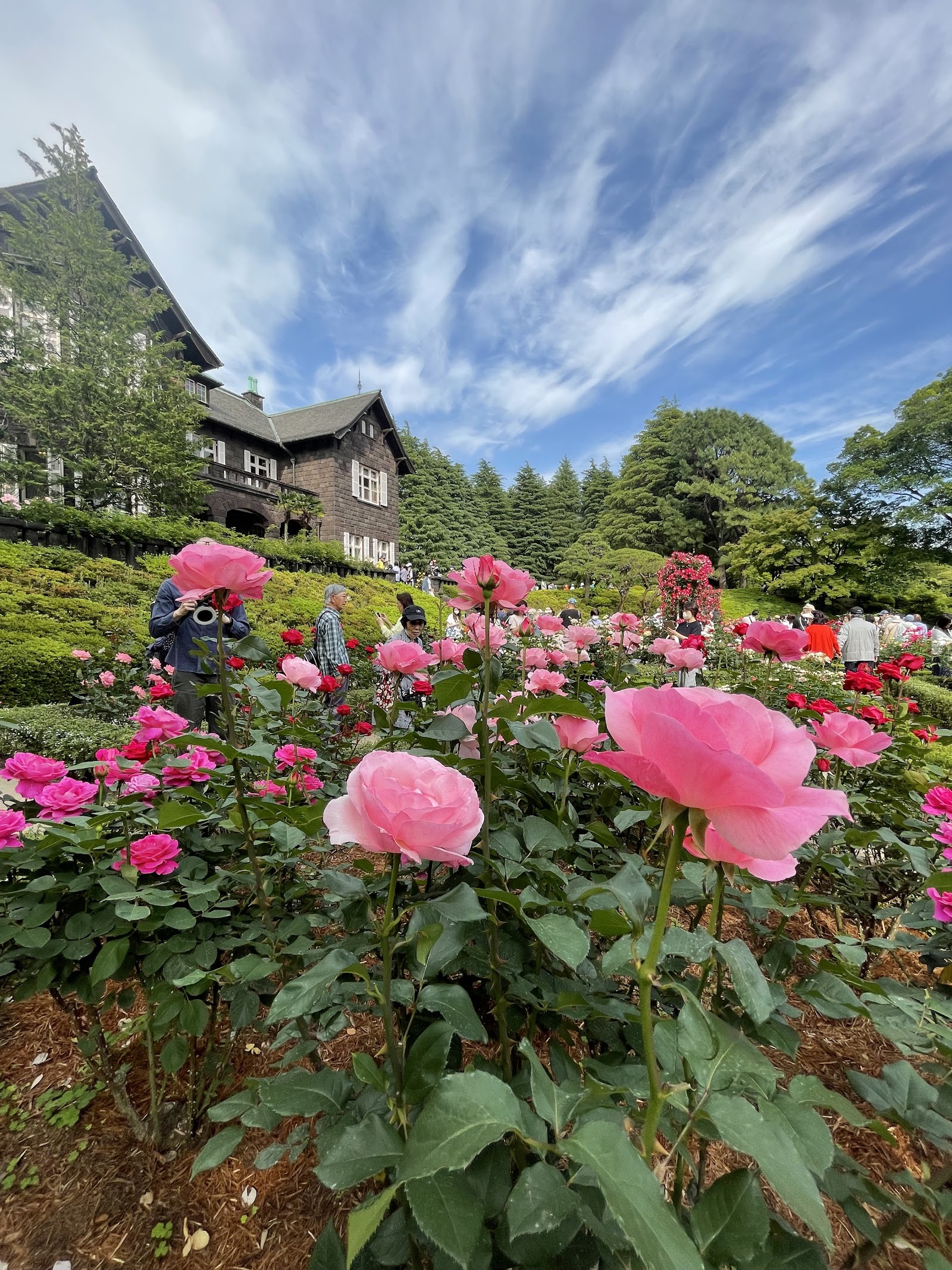 Kyu-Furukawa Gardens — photo 4
