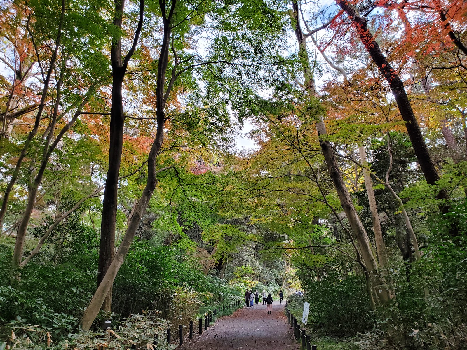 Institute for Nature Study — photo 2