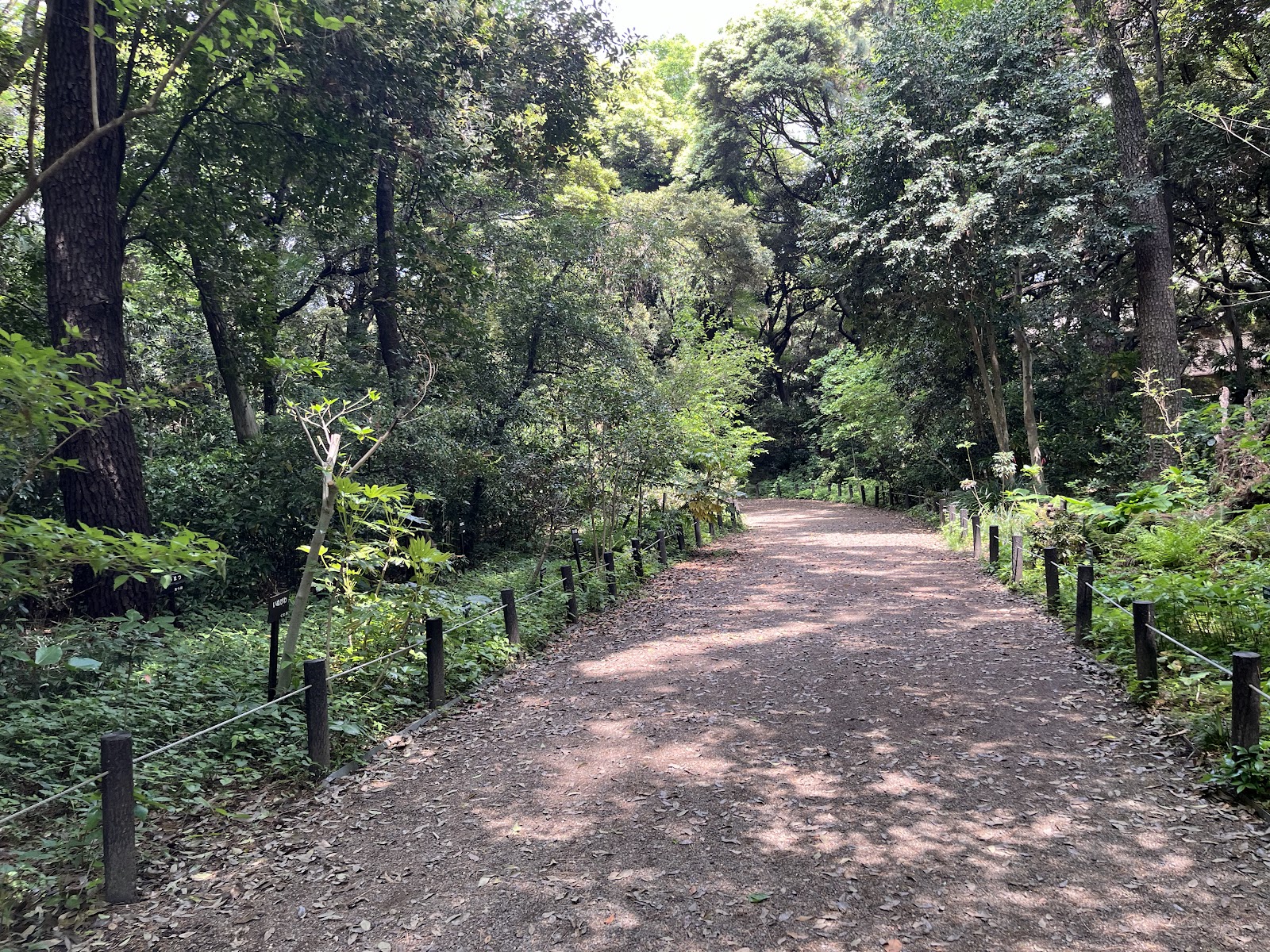Institute for Nature Study — photo 3
