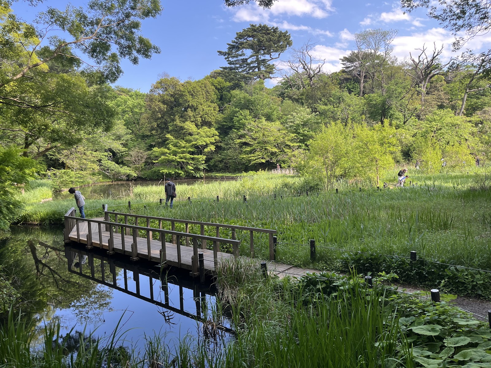 Institute for Nature Study — photo 4