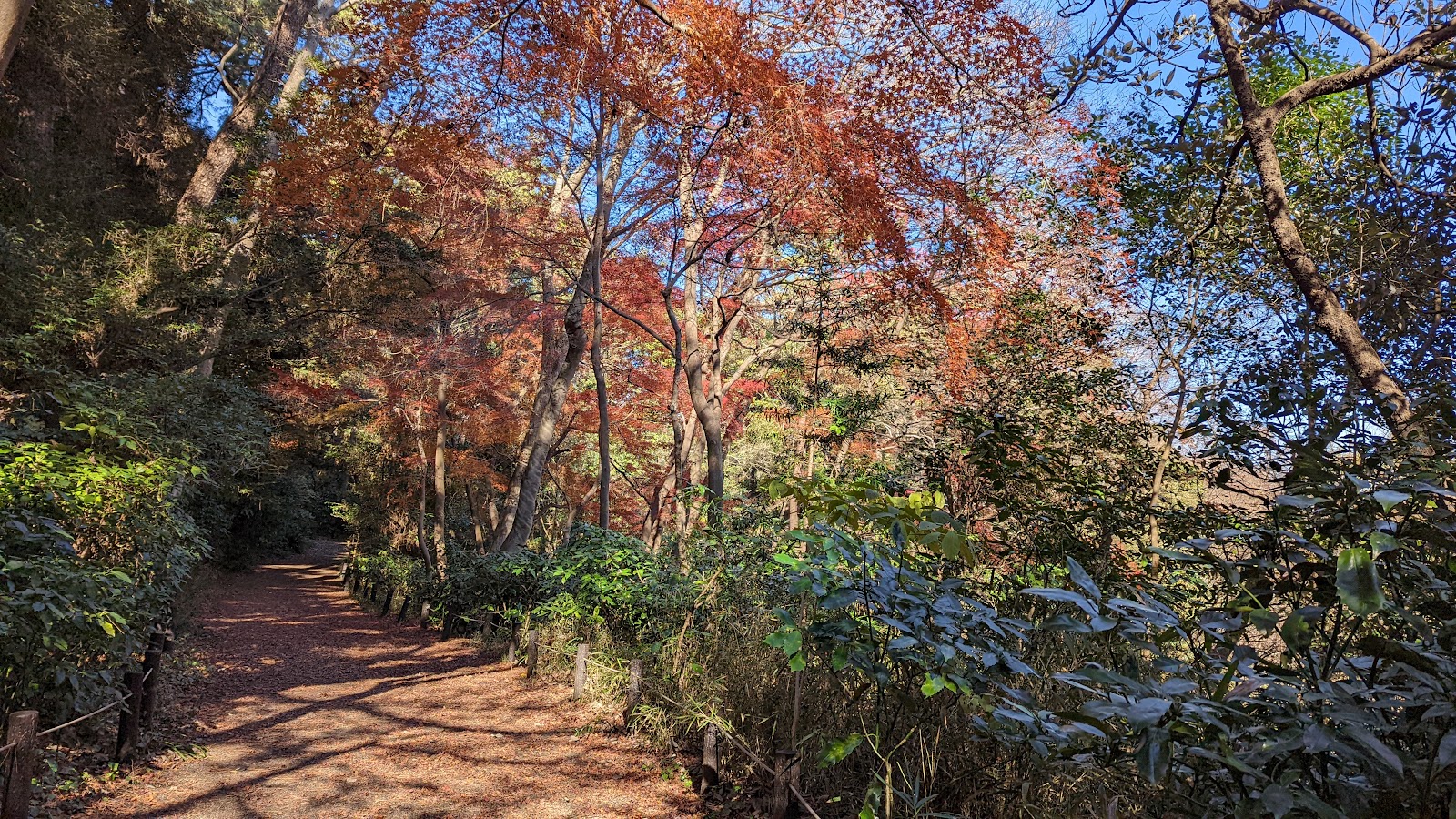 Institute for Nature Study — photo 5