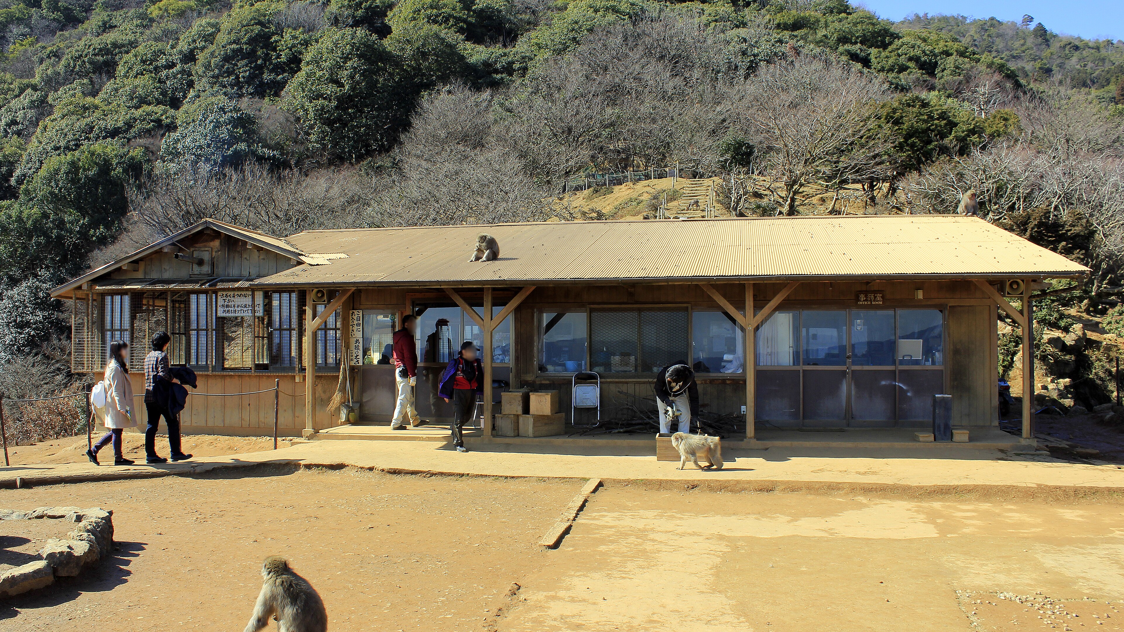 Arashiyama Monkey Park Iwatayama