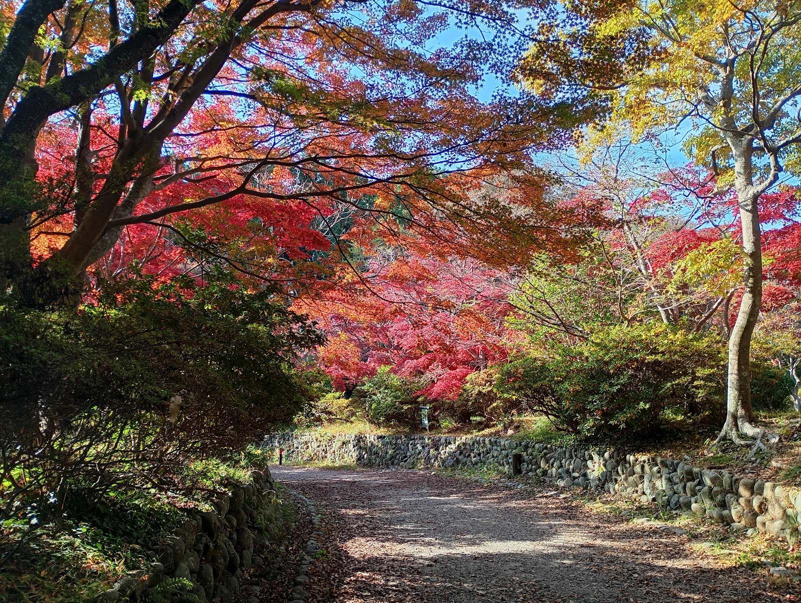 Genjiyama Park — photo 2