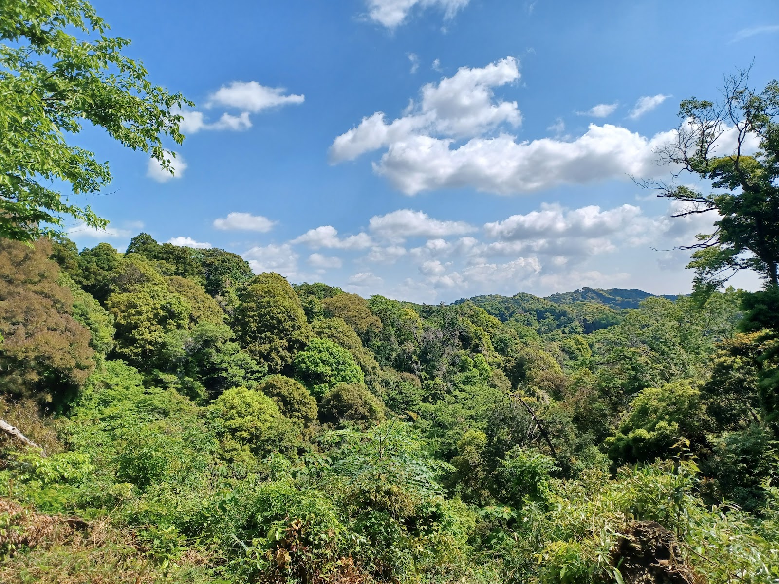 Genjiyama Park — photo 4