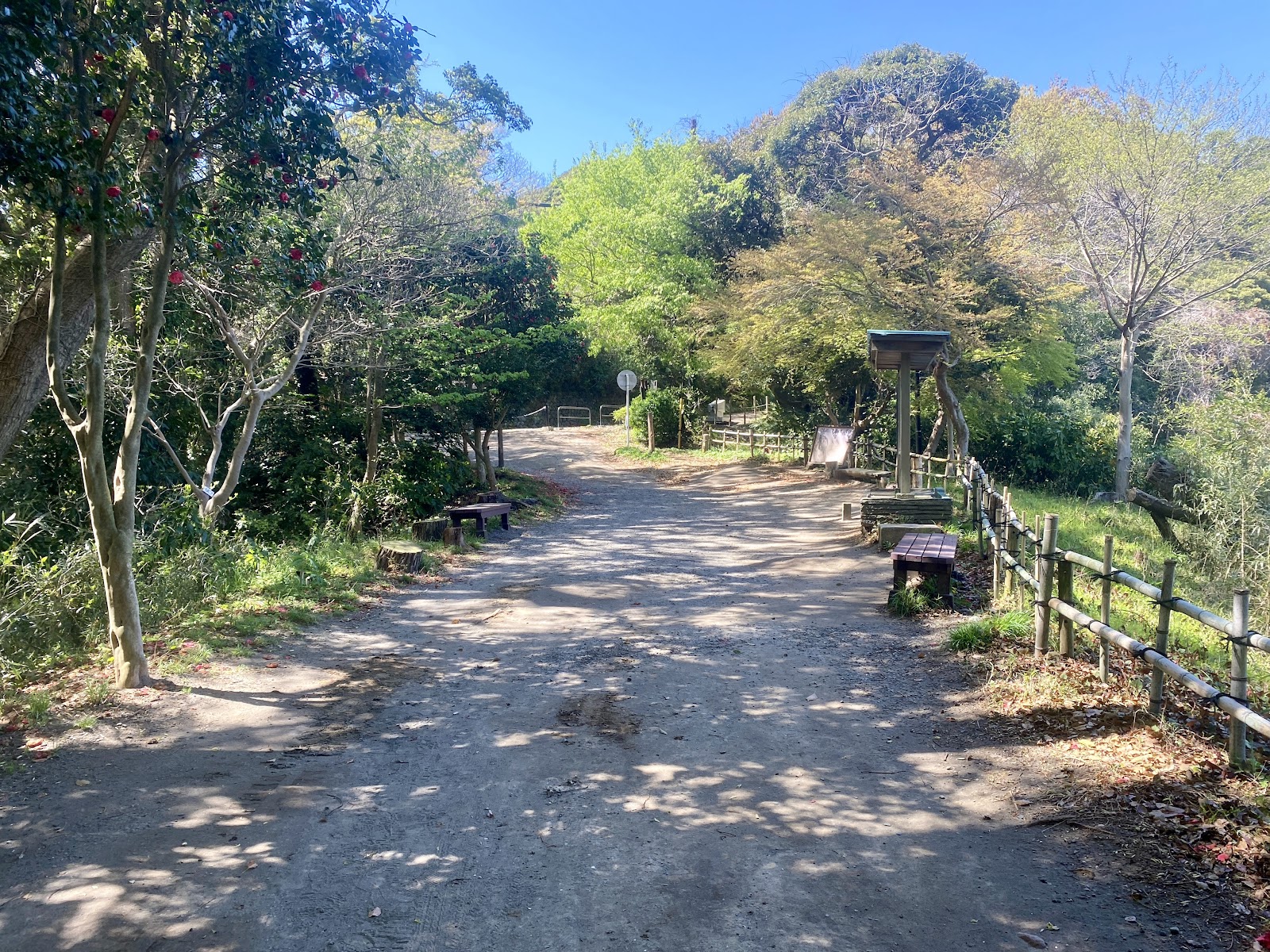 Genjiyama Park — photo 5