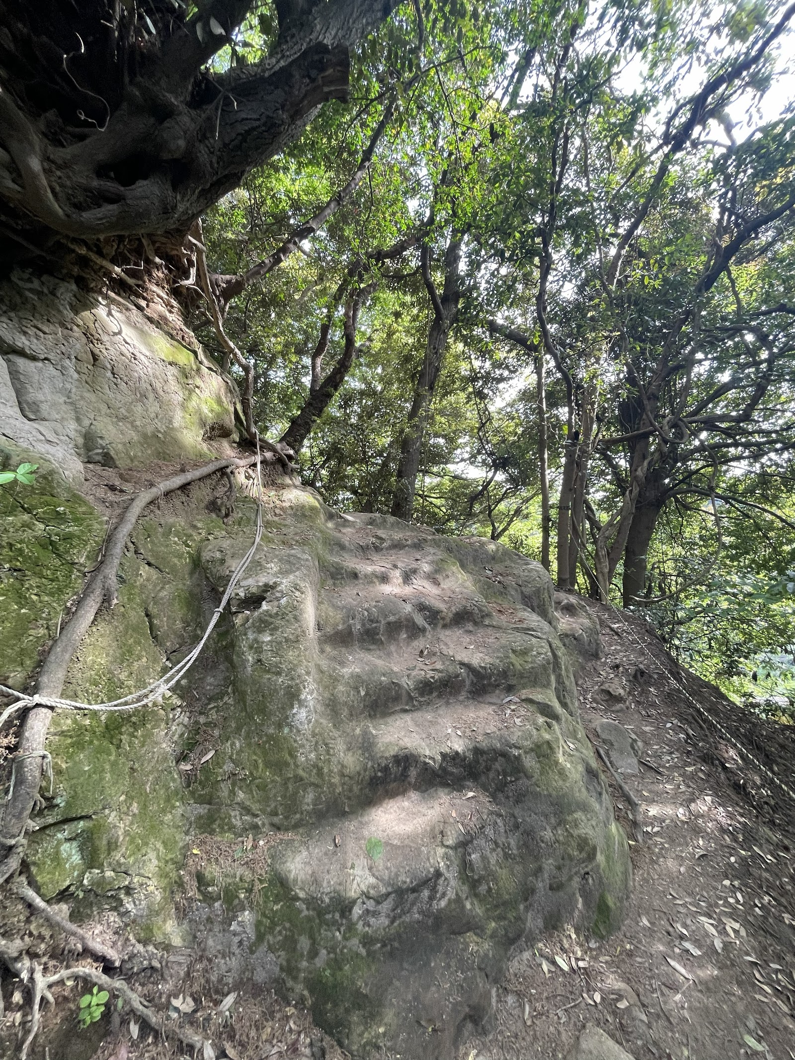 Daibutsu Hiking Trail — photo 2
