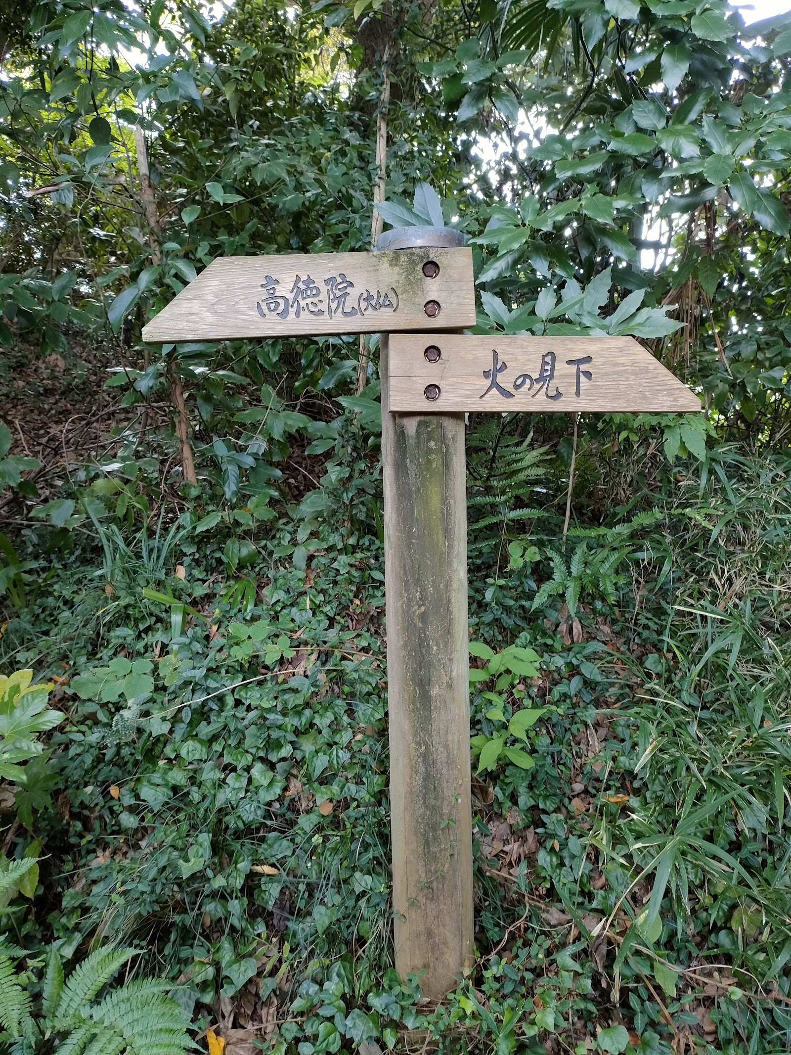 Daibutsu Hiking Trail — photo 3