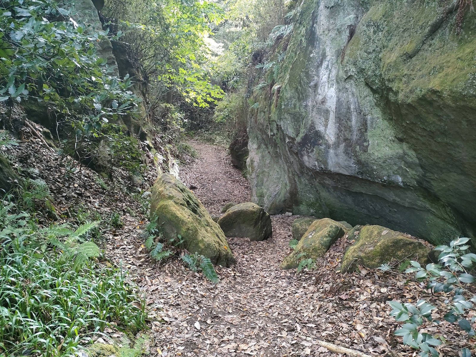 Daibutsu Hiking Trail — photo 4