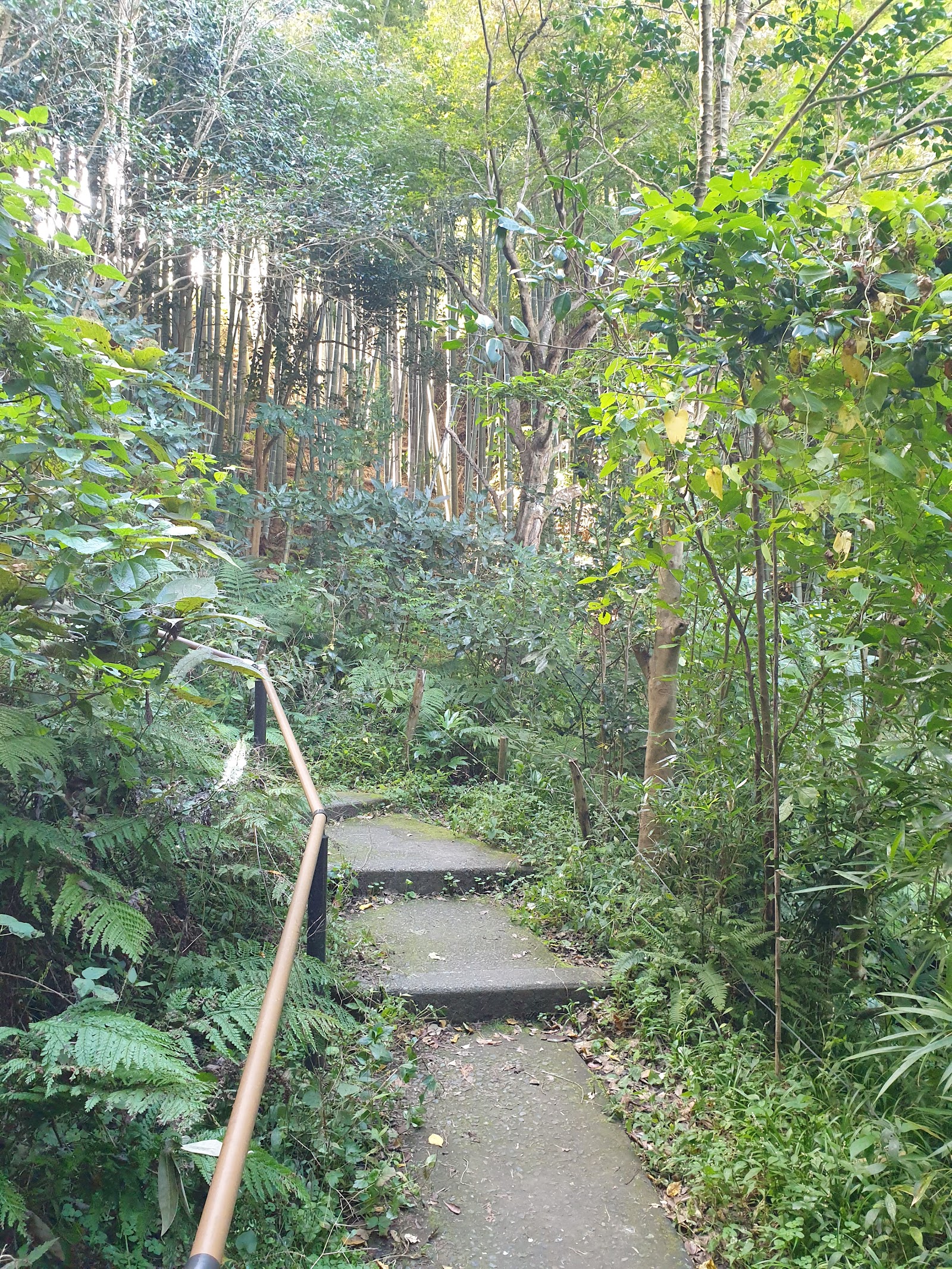 Daibutsu Hiking Trail — photo 5