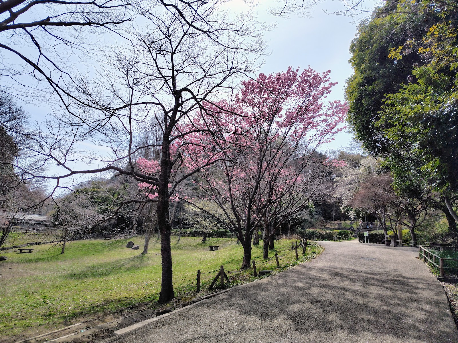 Kamakura Central Park — photo 1