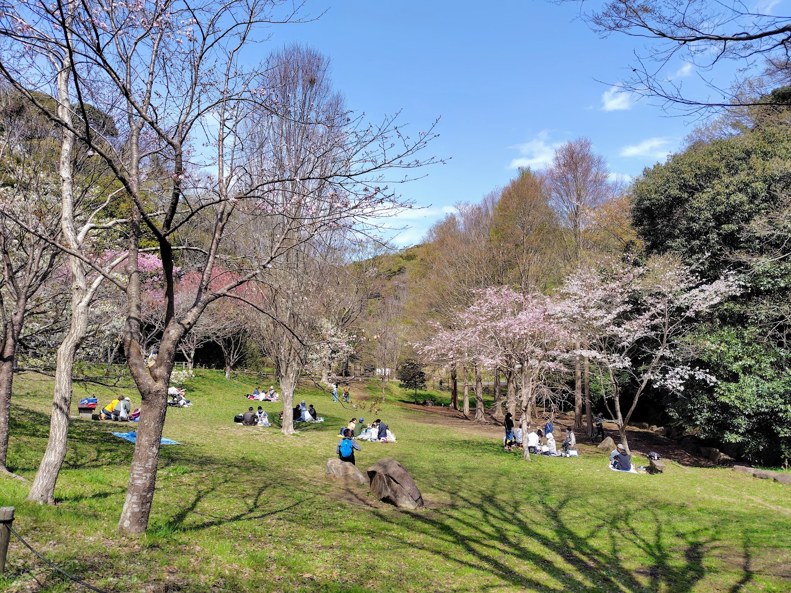 Kamakura Central Park — photo 2