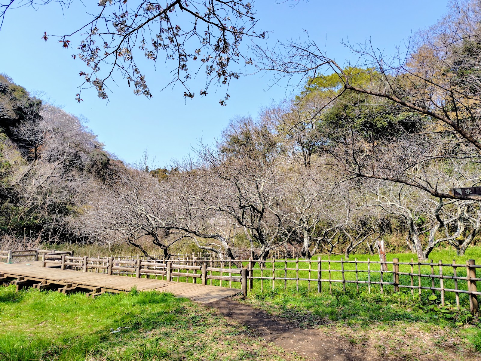 Kamakura Central Park — photo 3