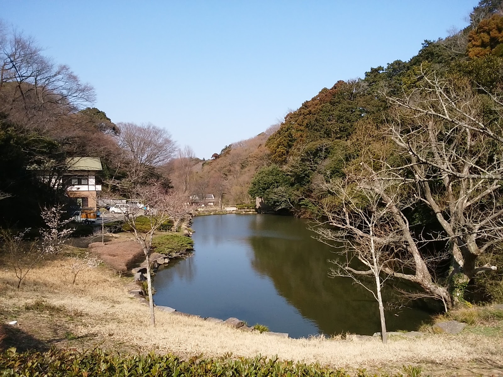 Kamakura Central Park — photo 4