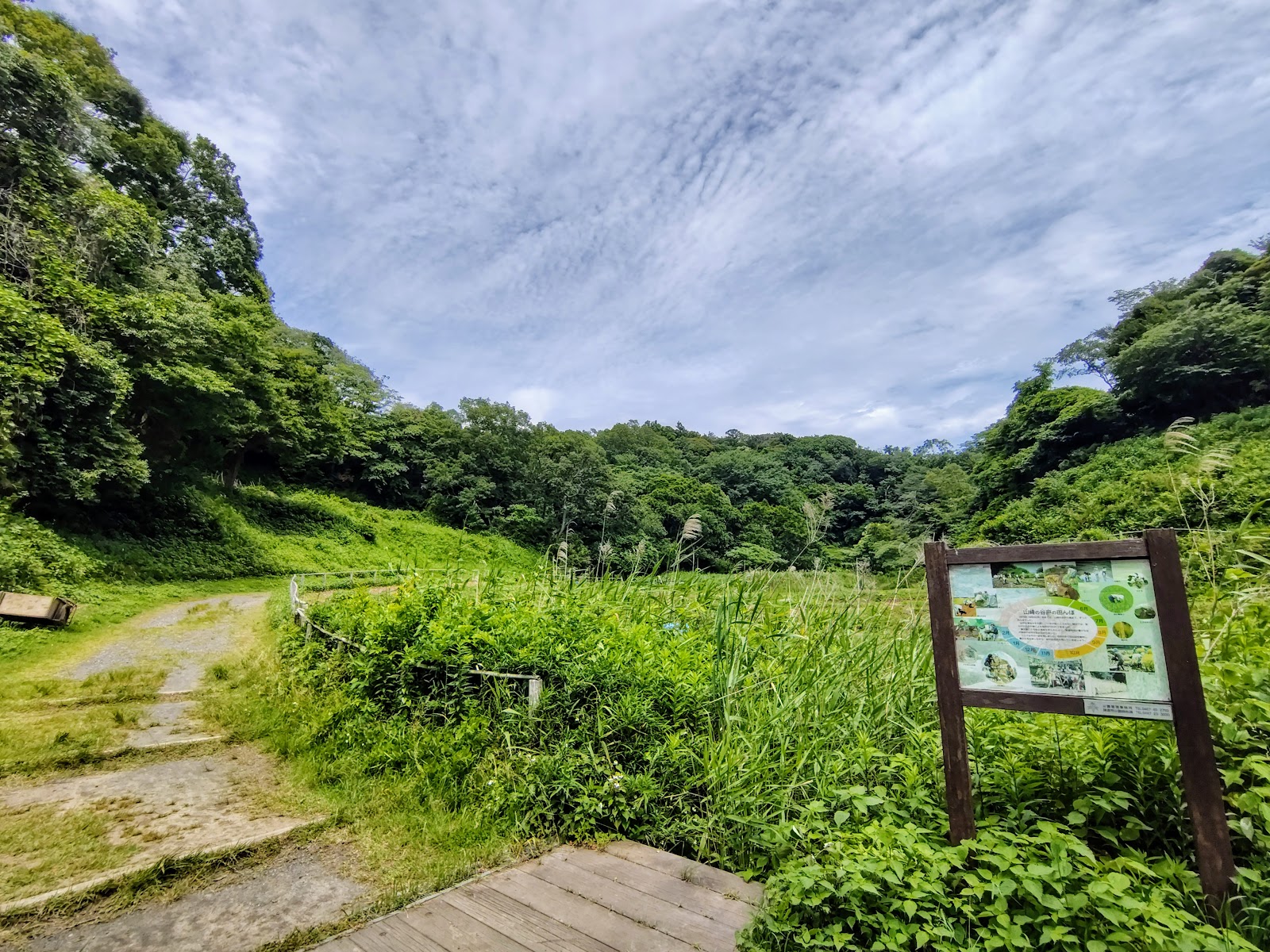 Kamakura Central Park — photo 5
