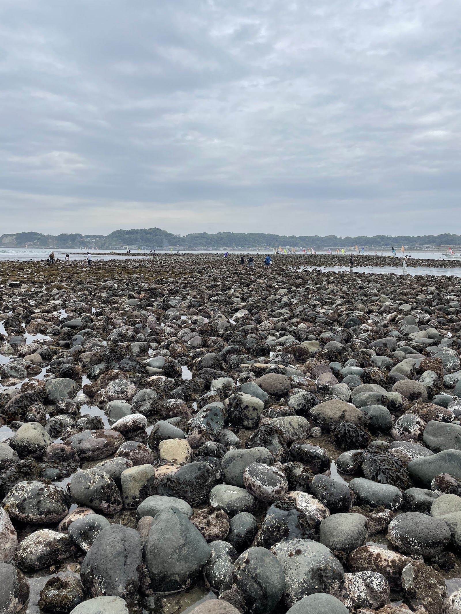 Wakaejima