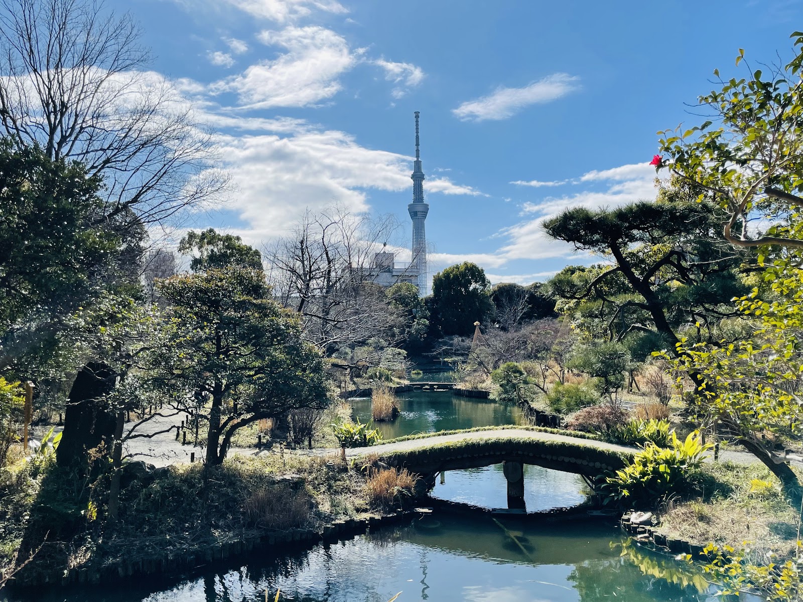 Mukojima-Hyakkaen Garden — photo 1