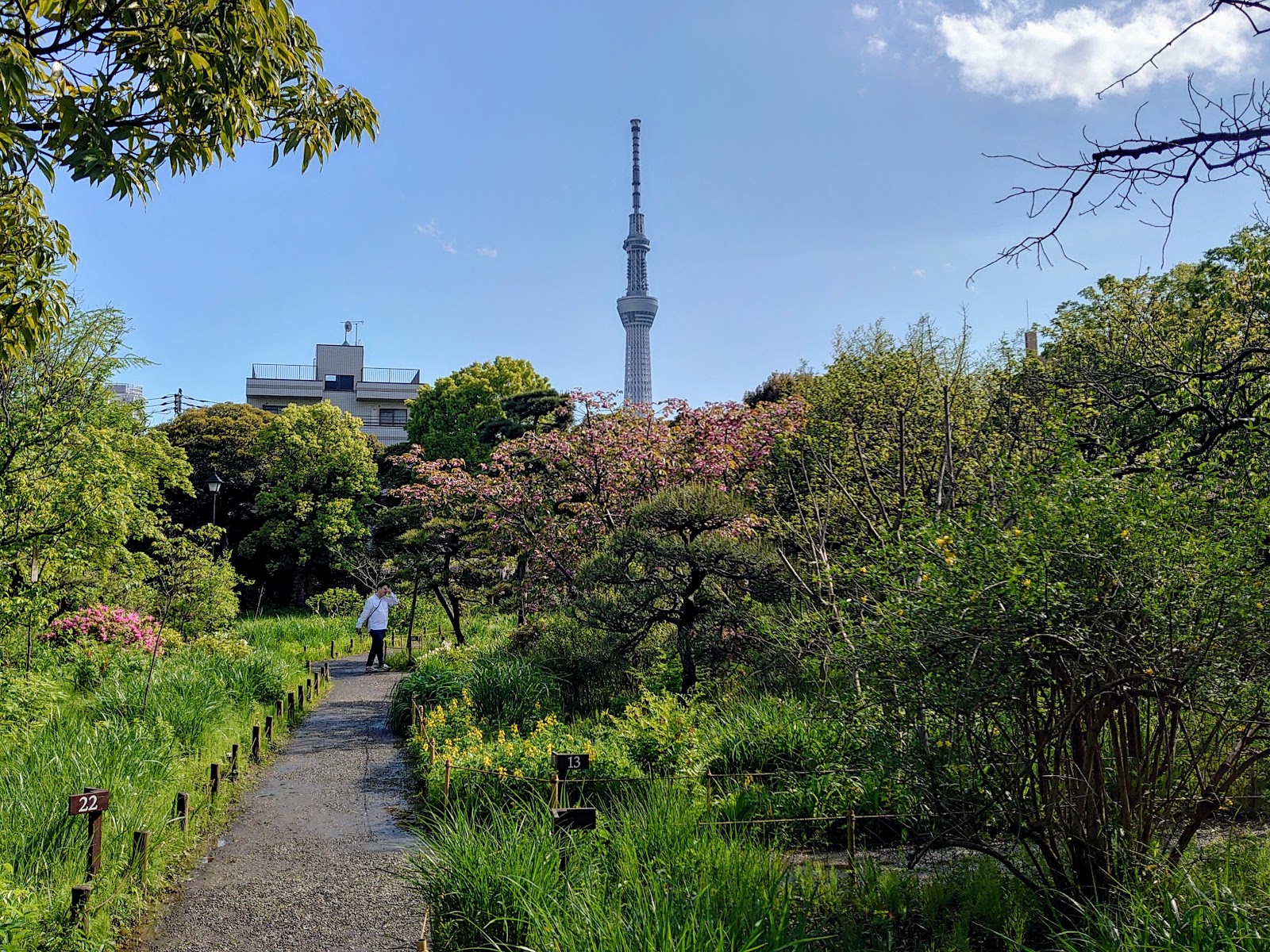 Mukojima-Hyakkaen Garden — photo 2