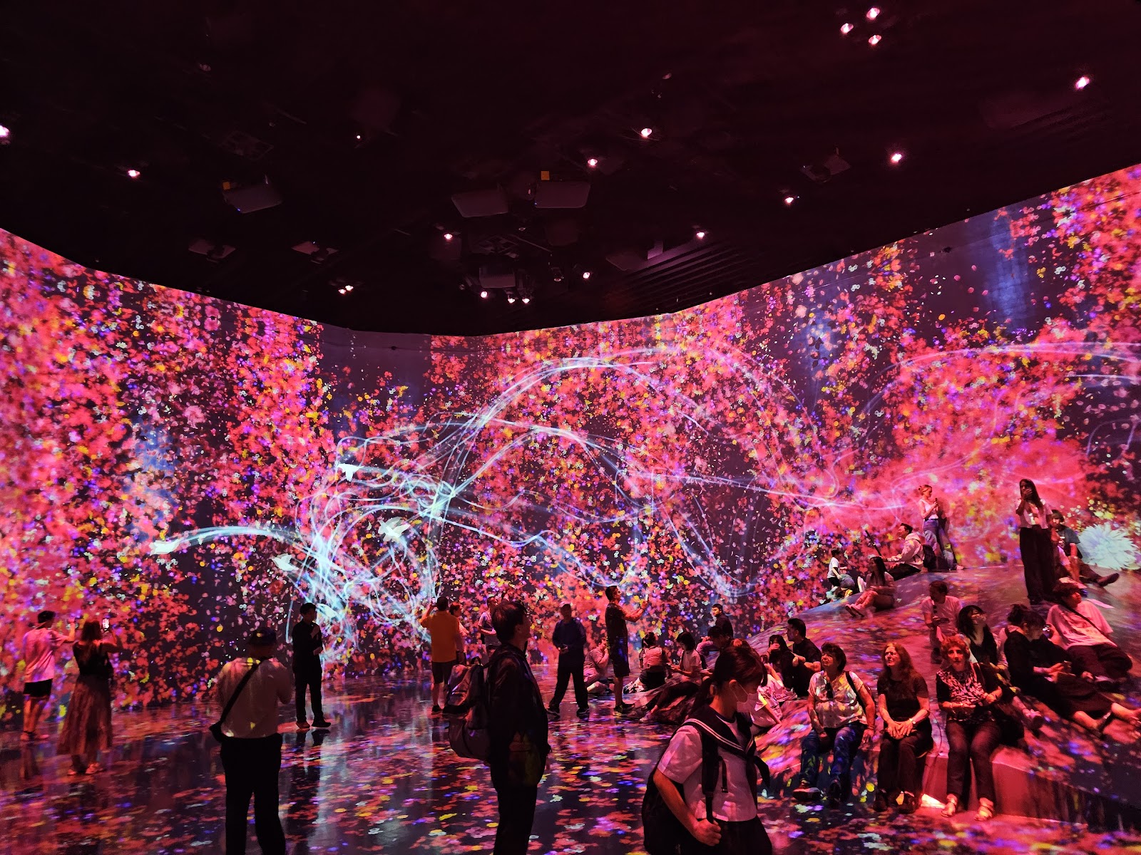 teamLab Borderless — photo 2