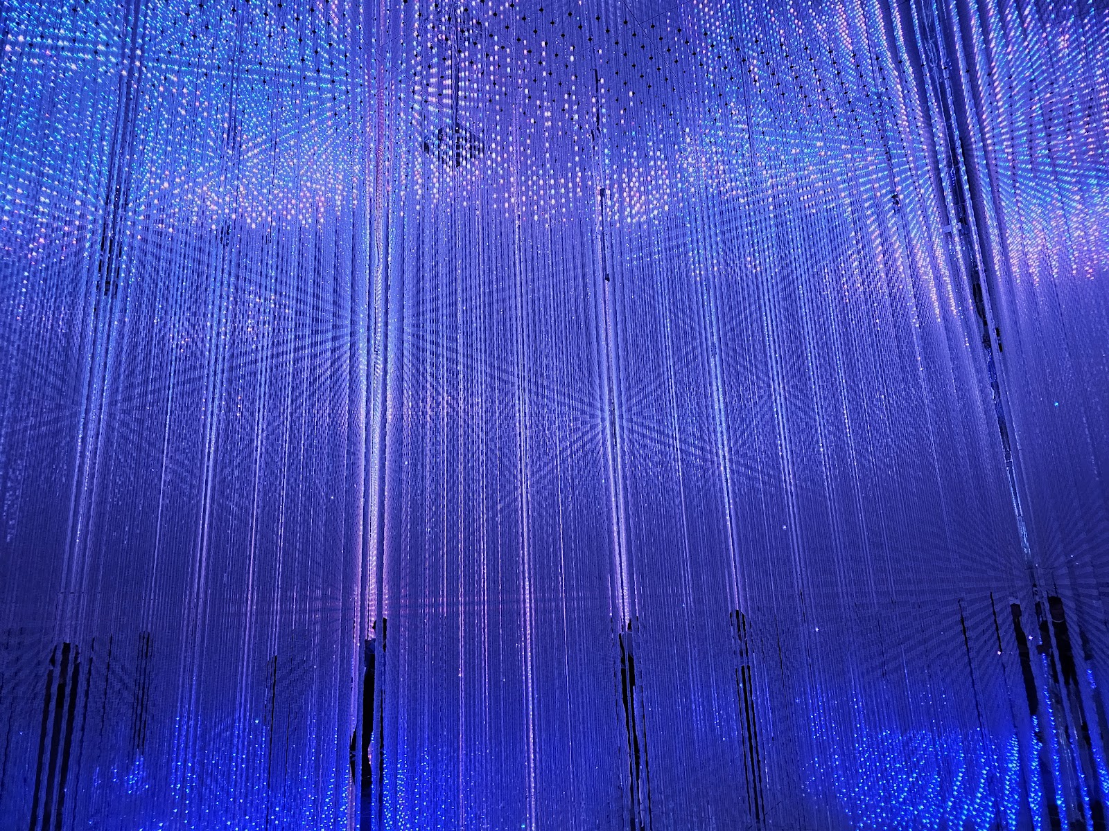 teamLab Borderless — photo 3
