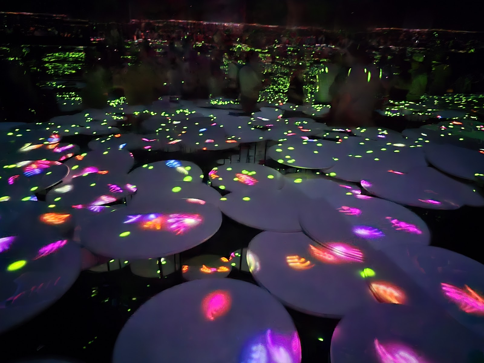 teamLab Borderless — photo 5