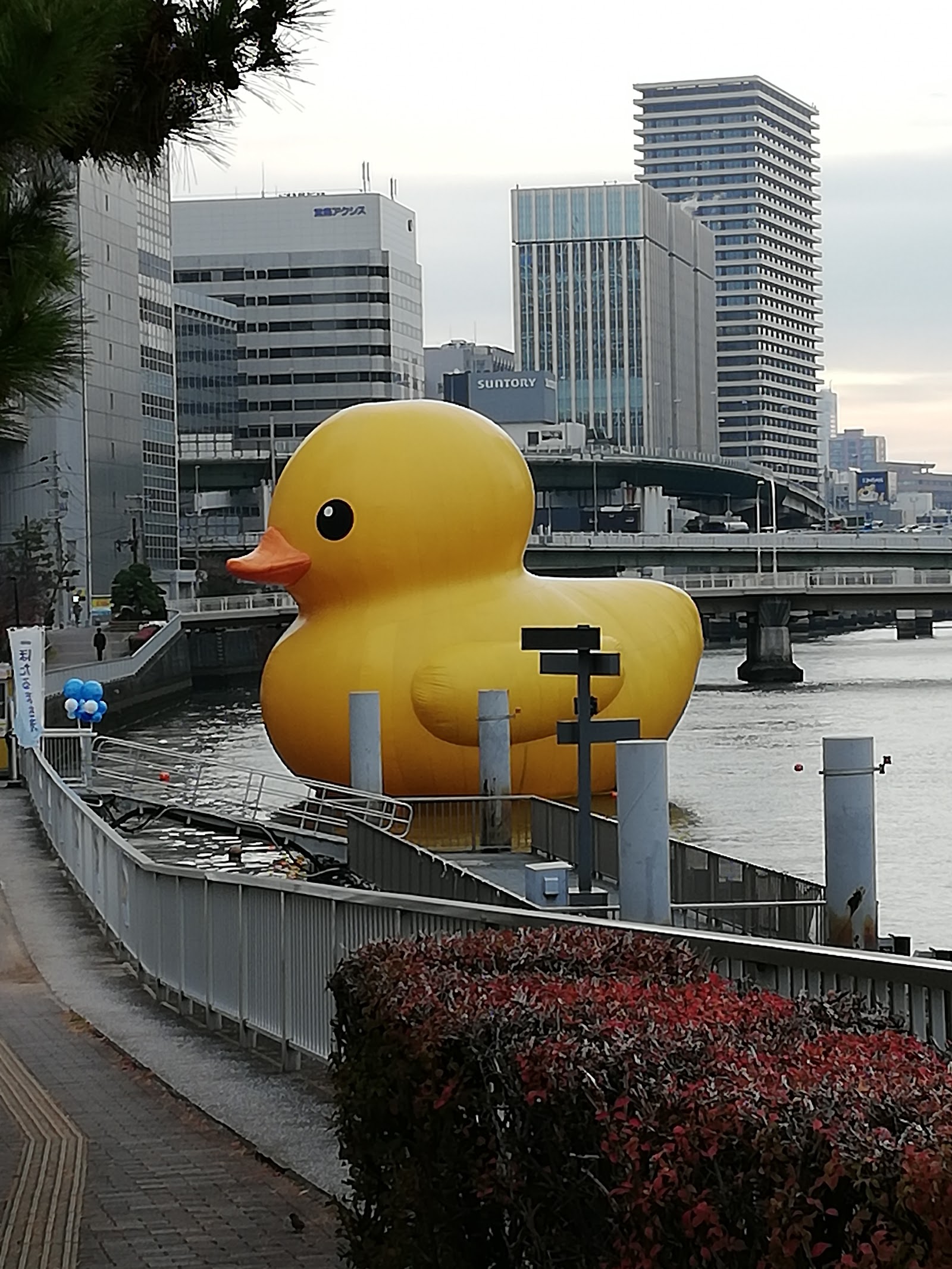 Nakanoshima — photo 5