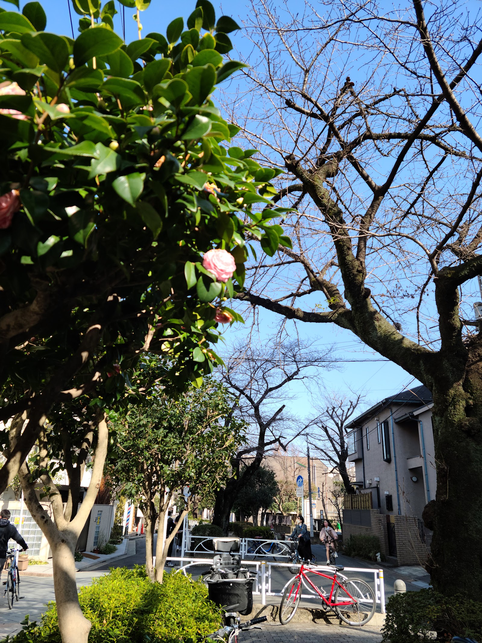 Jiyugaoka